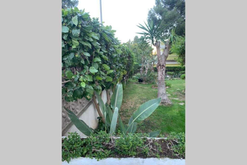 Apartamento La Dorada Torremolinos Exteriör bild